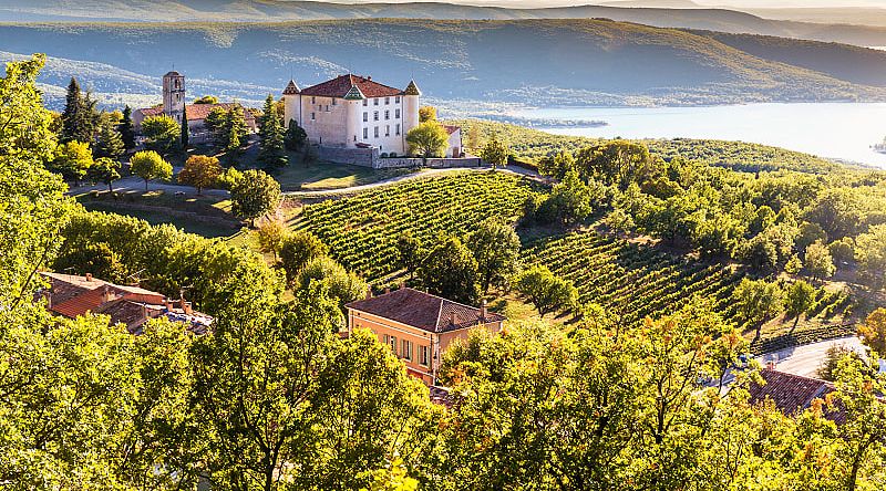Chateau and vineyards in Provence, France Chateau and vineyards in Provence, France