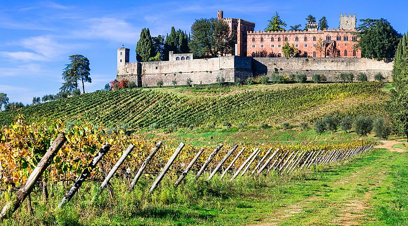 Vineyard and winery in the Chianti region of Tuscany, Italy