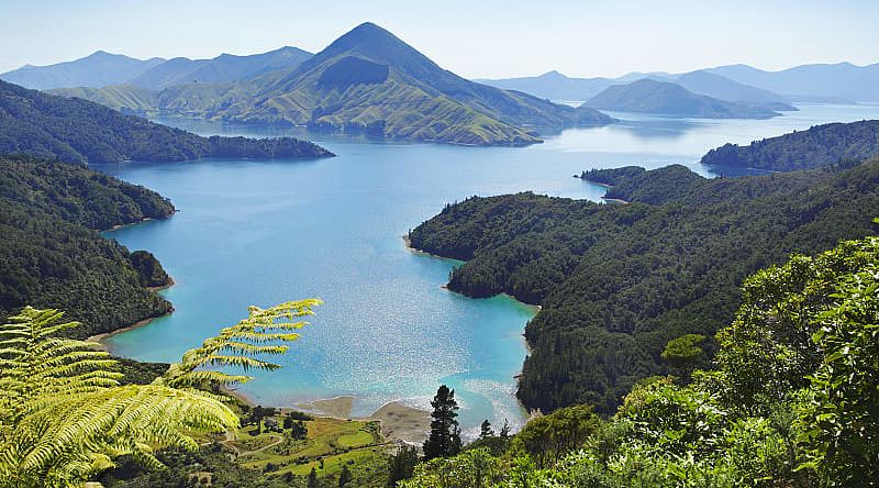 Aerial view of Malborough Sounds in New Zealand