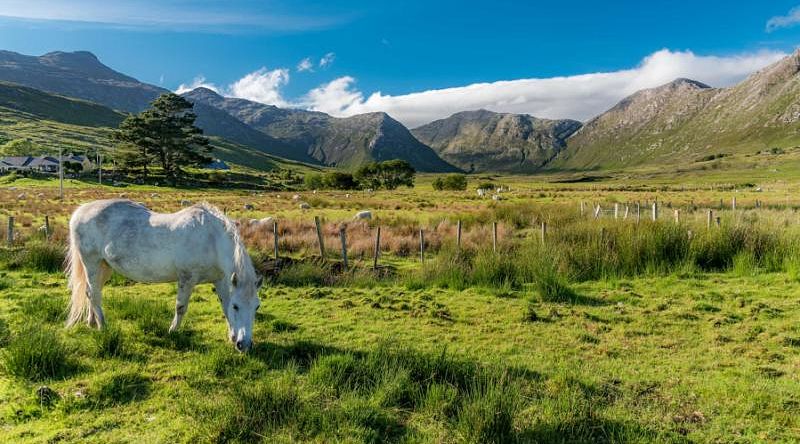 Admire the charm of Ireland's sprawling countryside