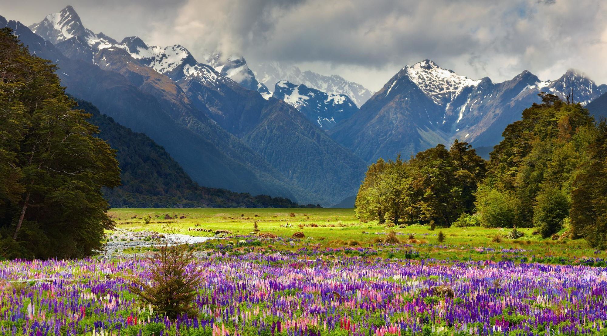 Beautiful landscape of the South Island, New Zealand