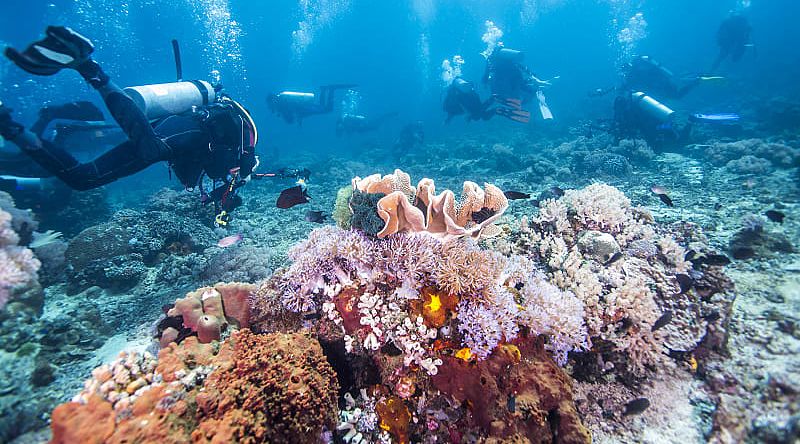 Scuba divers in Fiji 