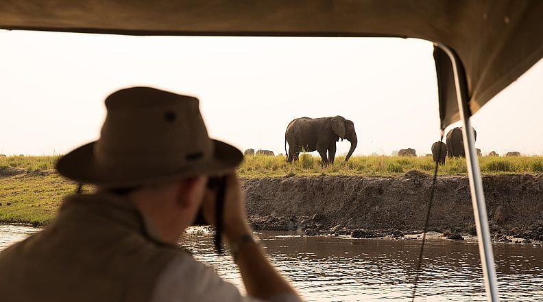 Tourist photographing elephant herd on a safari by Chobe River, Botswana Tourist photographing elephant herd on a safari by Chobe River, Botswana