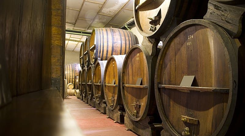 Barrels in Mendoza wine cellar