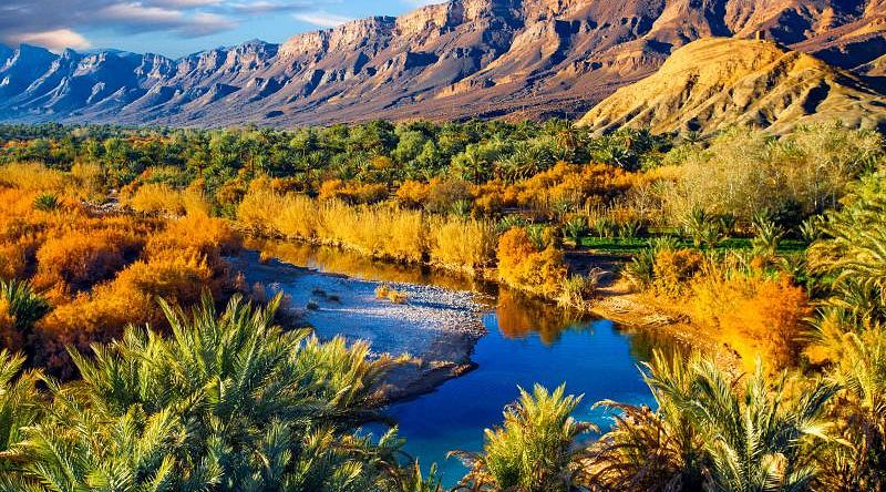 Date palms and blue river in one of the largest oases in Morocco