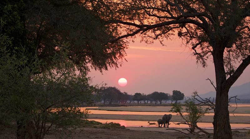 Sunset at Mana Pools National Park with elephants and impala in the foreground Sunset at Mana Pools National Park with elephants and impala in the foreground