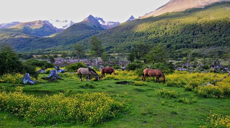 Valley in southern Argentina