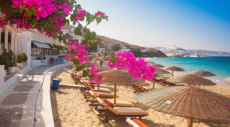 Pink bougainvillea blooming on the beach of Mykonos, Greece