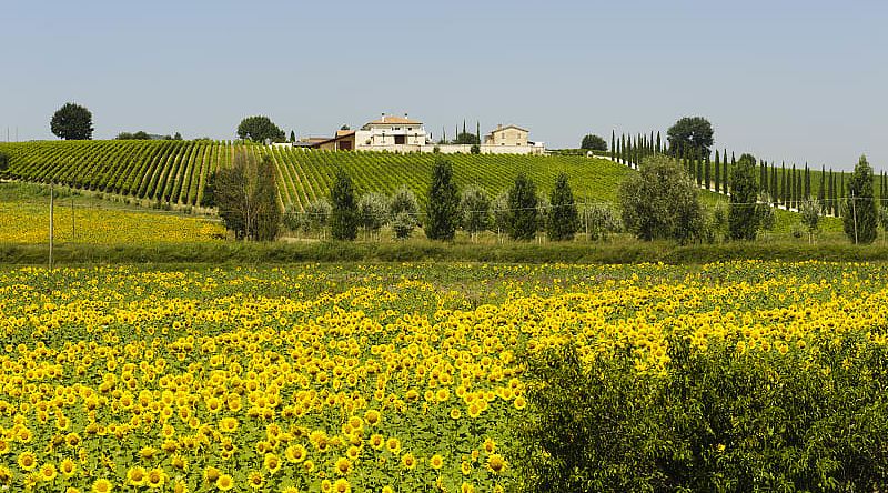 italy tours couples