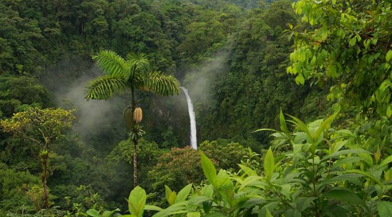 Enjoy beautiful views of the enchanting La Fortuna Falls