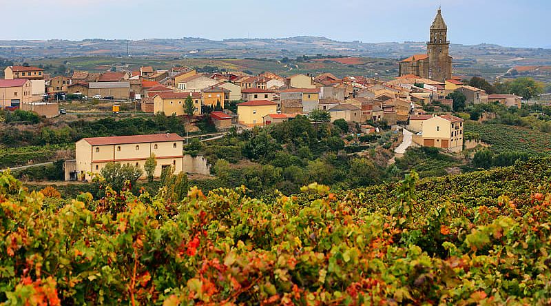 Haro vineyards in the La Rioja region of Spain Haro vineyards in the La Rioja region of Spain
