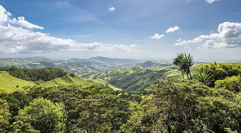 Experience the sensation of freedom from flight as you zipline through the Cloud Forest in Monteverde. Experience the sensation of freedom from flight as you zipline through the Cloud Forest in Monteverde.