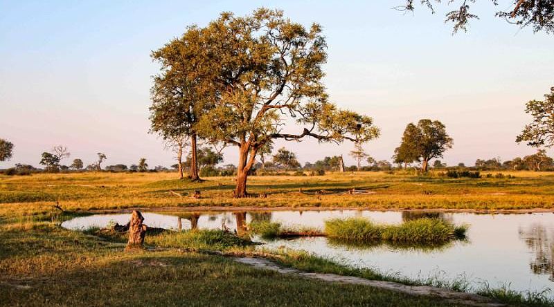 View of a waterhole in Hwange National Park, Zimbabwe