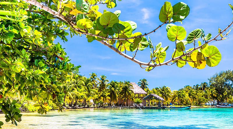 Tropical beach in Caye Caulker in Belize Tropical beach in Caye Caulker in Belize