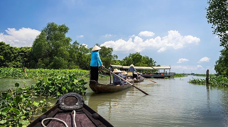 Tour row boat in Tra Su indigo plant forest in An Giang on the Mekong Delta, Vietnam.
