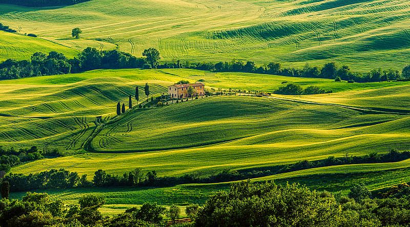 Rolling hills in the Tuscan countryside