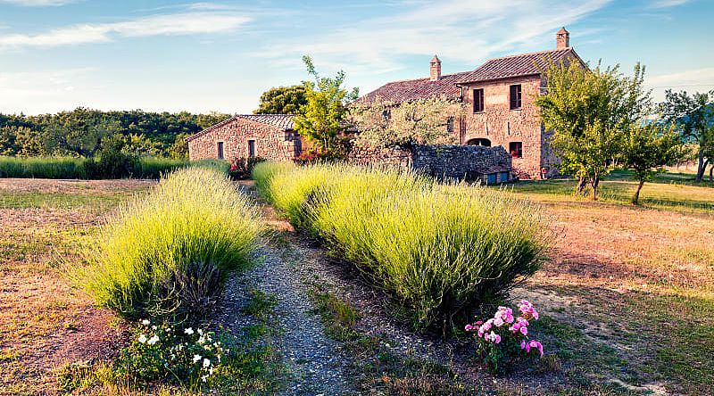 Farmhouse in Tuscany, Italy Farmhouse in Tuscany, Italy