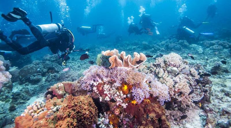 Scuba, Snorkel & Adventure Vacation in Fiji Scuba divers in Fiji
