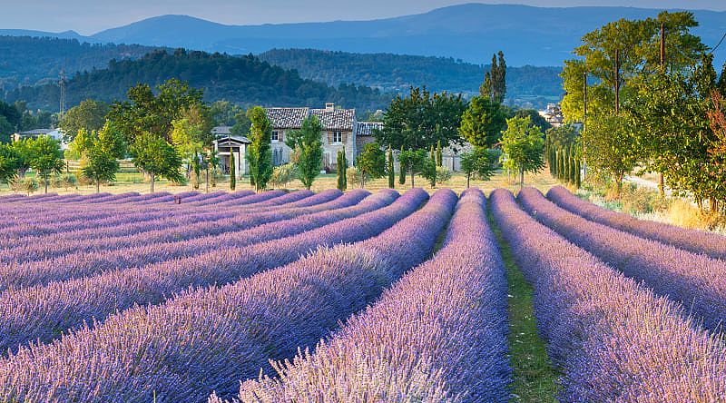 Spend two days enjoying the leisurely pace and undeniable beauty of life in Provence, France