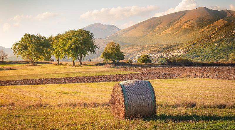Find a dairy farm in the hills of Abruzzo that produces ricotta cheese. Find a dairy farm in the hills of Abruzzo that produces ricotta cheese.