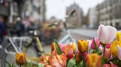 Romantic Getaway Tour to Europe: Majestic Alps, Charming Towns & Captivating Cities