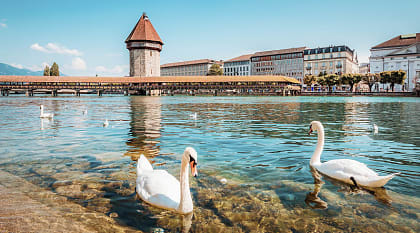 Chapel Bridge in Lucerne, Switzerland. 
