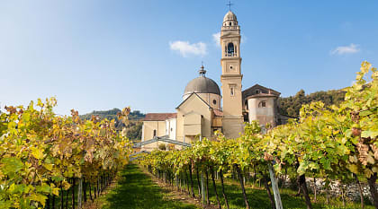 Famous Valpolicella Verona, Italy
