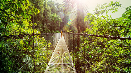 Suspension bridges, Monteverde, Costa Rica