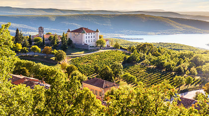 Chateau and vineyards in Provence, France Chateau and vineyards in Provence, France