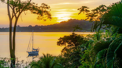 Dolphin bay in Bocas del Toro, Panama