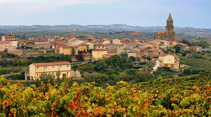 Haro vineyards in the La Rioja region of Spain