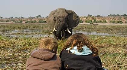 Two kids observing an elephant in Chobe National Park, Botswana