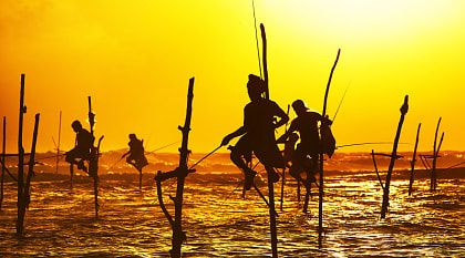 Silhouettes of the traditional fishermen at the sunset near Galle in Sri Lanka