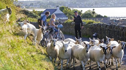 Biking in Ireland. Photo © Brian Morrison / Tourism Ireland