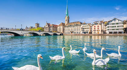 Fraumunster church and swans in Limmat river, Zurich, Switzerland