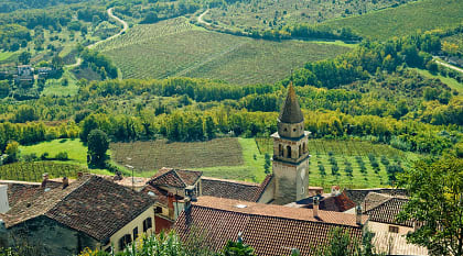 Medieval Motovun surrounded by vineyards in Croatia