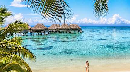 Woman standing on the beach looking over clear water in Moorea, French Polynesai