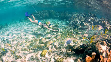 Snorkeling in Belize