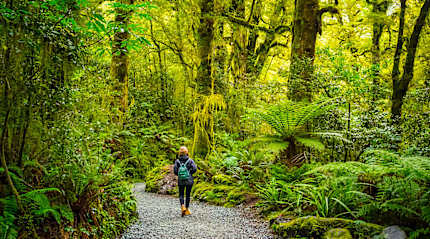 Hiking in Fiordland National Park, New Zealand