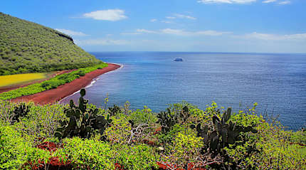 Cruise by Red Sand Beach, Rabida Island in the Galapagos