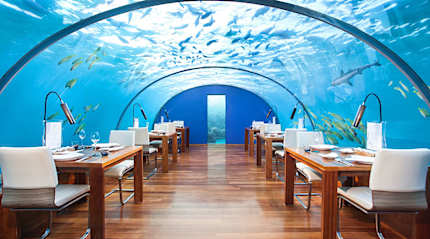  Ithaa Undersea Restaurant in the Maldives.  Photo courtesy of Conrad Maldives Rangali Island