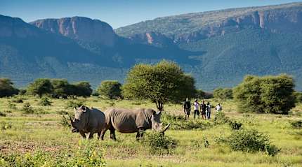 Bush walk with Marataba Safari, South Africa