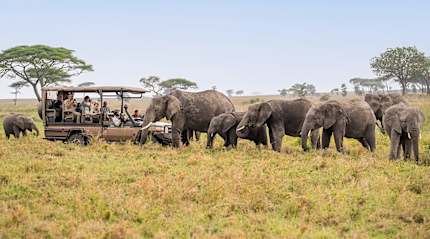 Eastern Serengeti, Tanzania