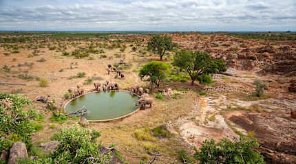 Mapungubwe National Park, South Africa.