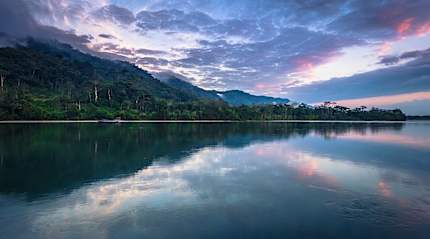 Manu National Park in the Peruvian Amazon