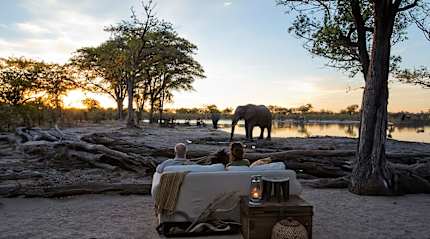 Couple observing an elephant at a luxury lodge in Botswana