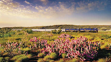 The Indian Pacific in Australia. Photo courtesy Great Southern Rail