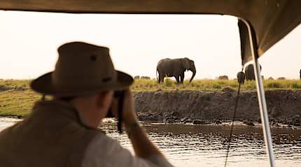 Chobe River in Botswana.