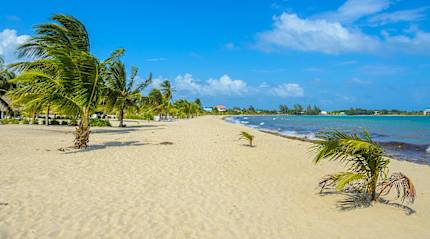 Long stretch of pristine beach in Placencia, Belize