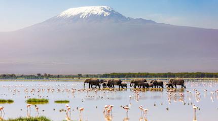 View of Mount of Kilimanjaro from Amboseli National Park in Kenya
